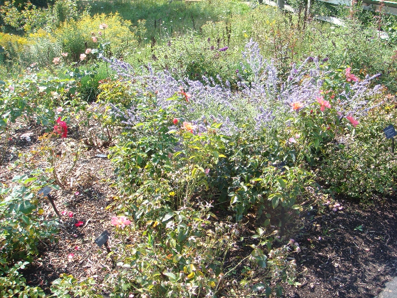 Western Michigan [2009] 360.JPG - Scenes from Frederik Meijer Gardens & Sculpture Park.